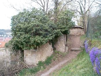 Stoelzlgarten