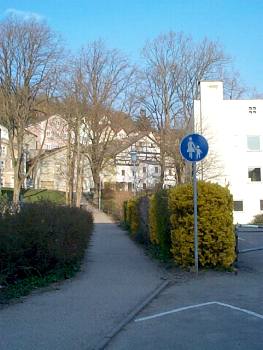 VVE